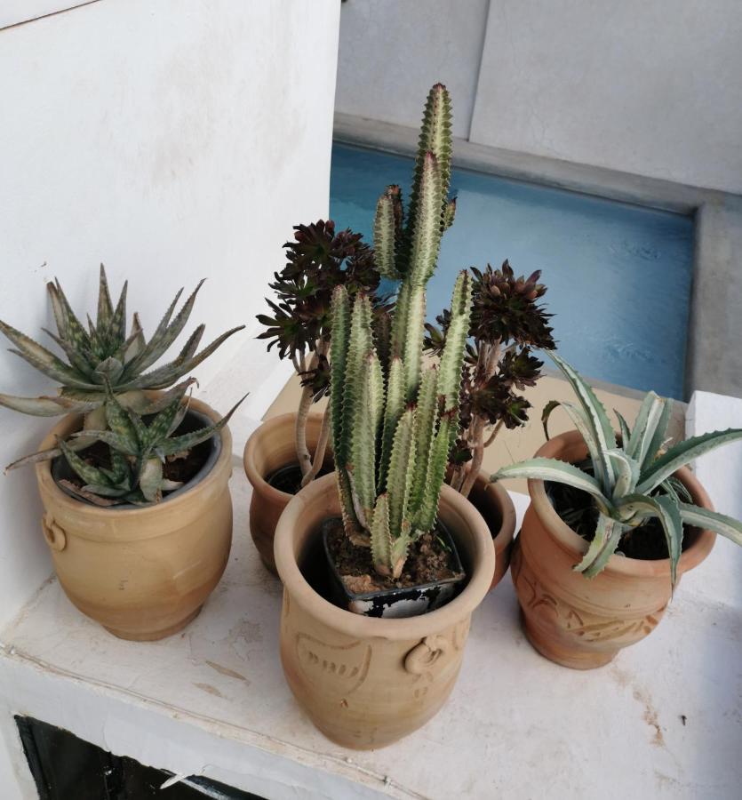 Riad Bab Aylen - Piscine Roof Top Chauffee Marrákes Kültér fotó